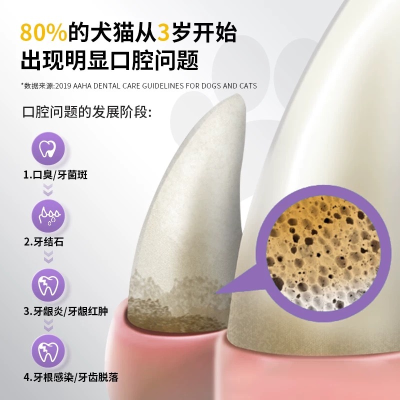 SOULPET 富士樱宠物洁齿凝胶25g