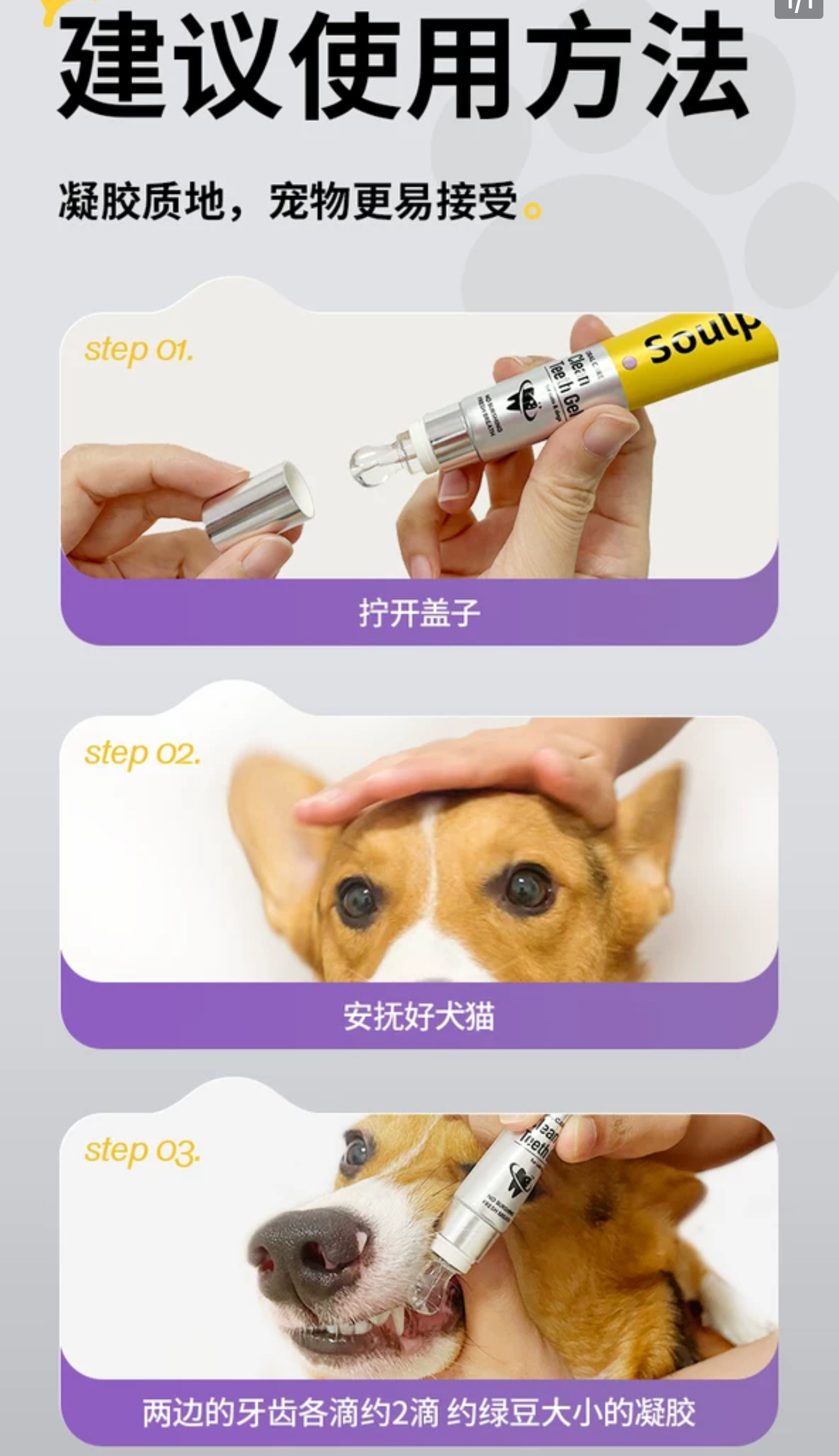 SOULPET 富士樱宠物洁齿凝胶25g