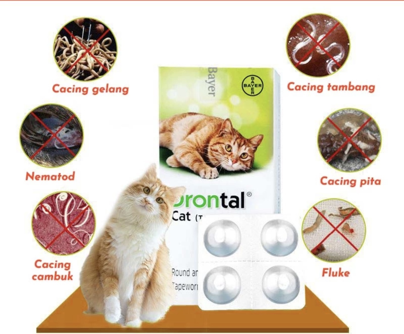 DRONTAL CAT TABLET
