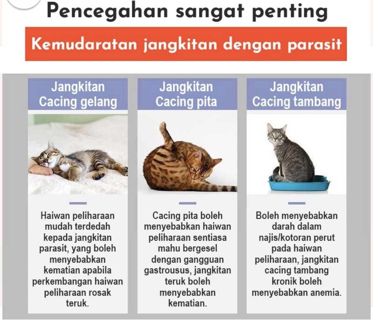 DRONTAL CAT TABLET