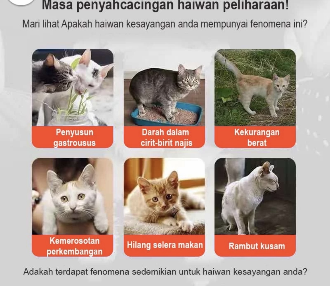 DRONTAL CAT TABLET