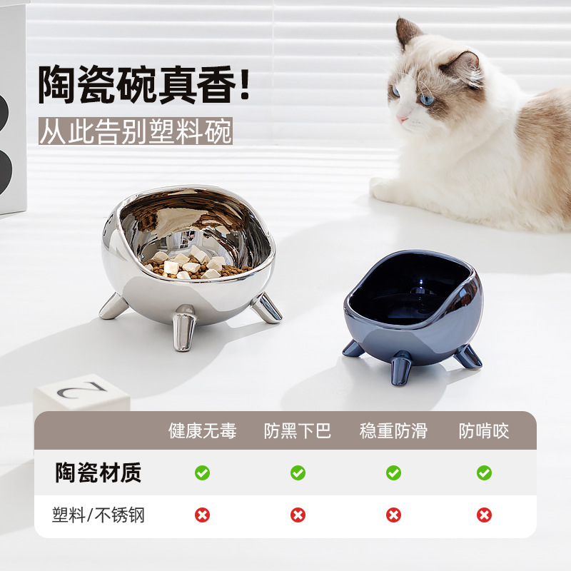 PET CERAMIC BOWL – MIRROR FINISH DESIGN
