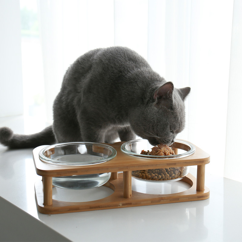 PET BOWL – THICK GLASS WITH WOODEN STAND, SINGLE / DOUBLE BOWL