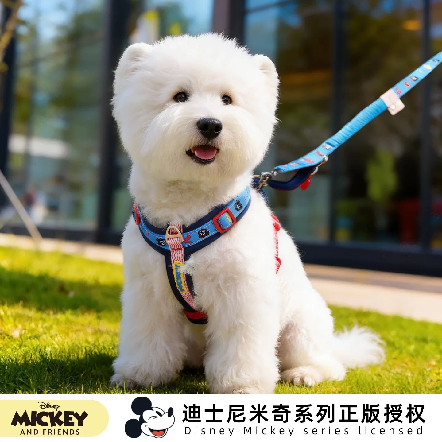 DISNEY MICKEY 迪士尼米奇 宠物胸背 牵引绳 项圈