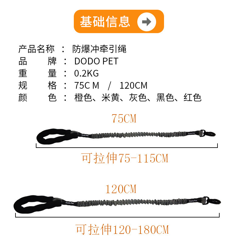 DODOPET ANTI-PULL LEASH – HIGH QUALITY 