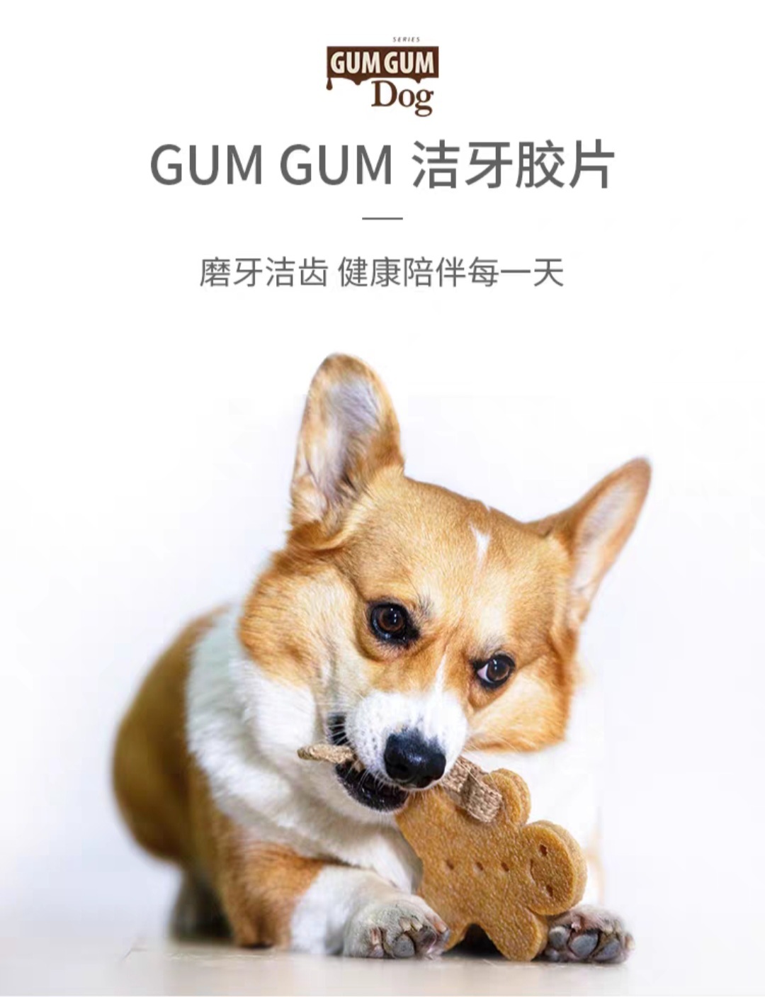 GIGIWI PET DENTAL TOY MINI SERIES