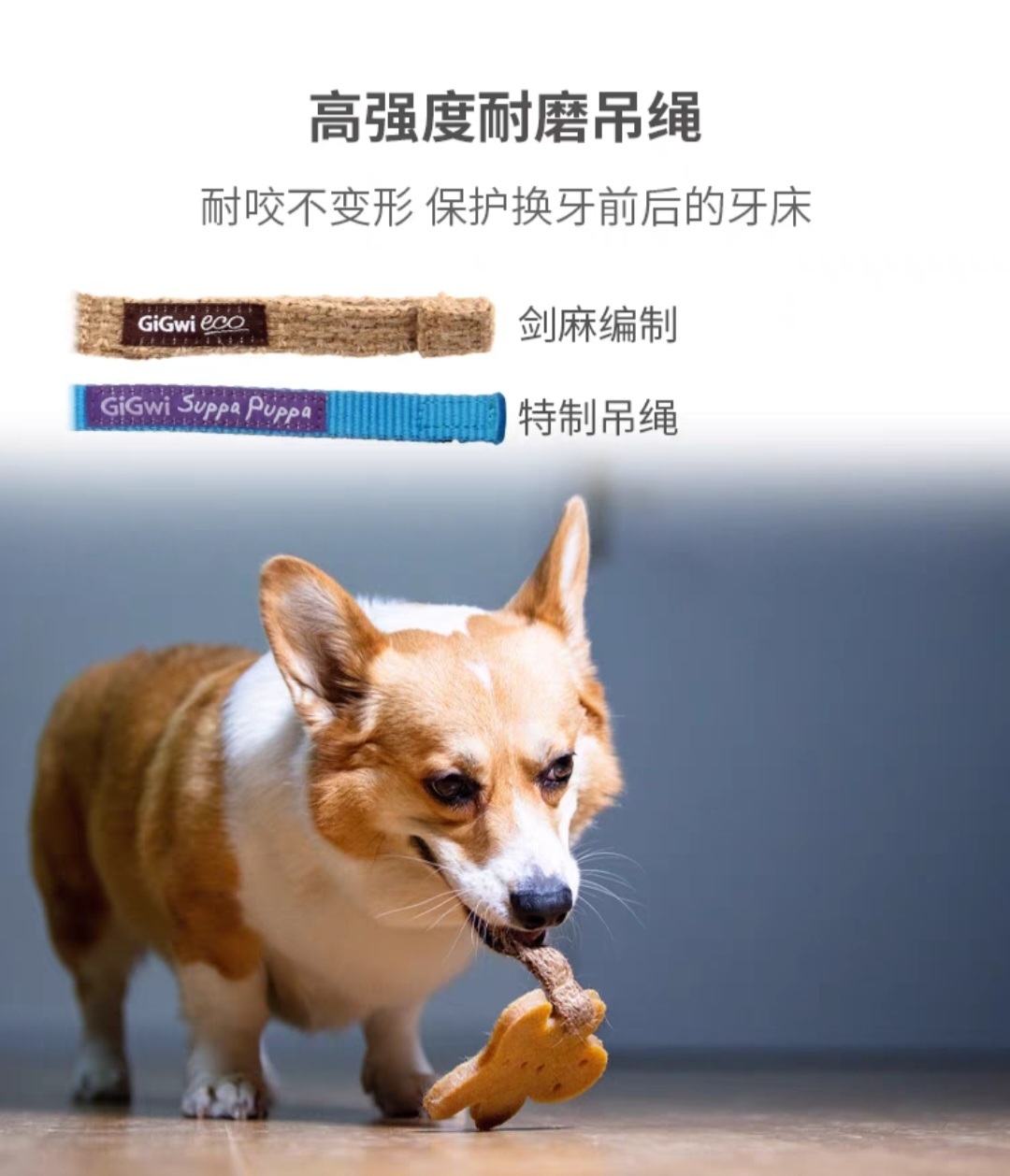 GIGIWI PET DENTAL TOY MINI SERIES