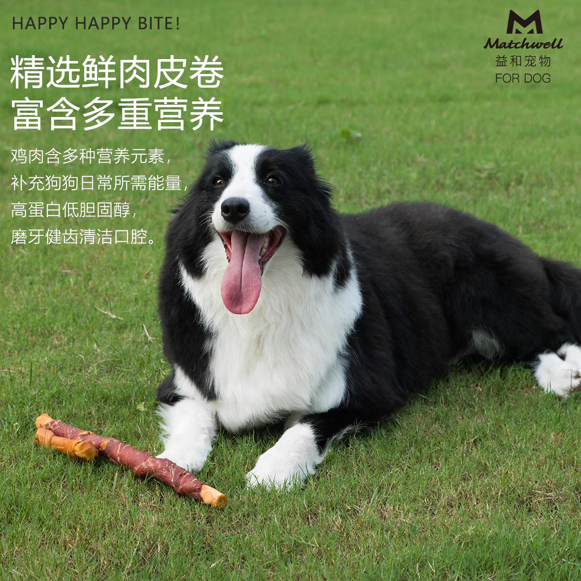 MATCHWELL AIR DRIED MEAT WITH RAWHIDE 1METER STICK