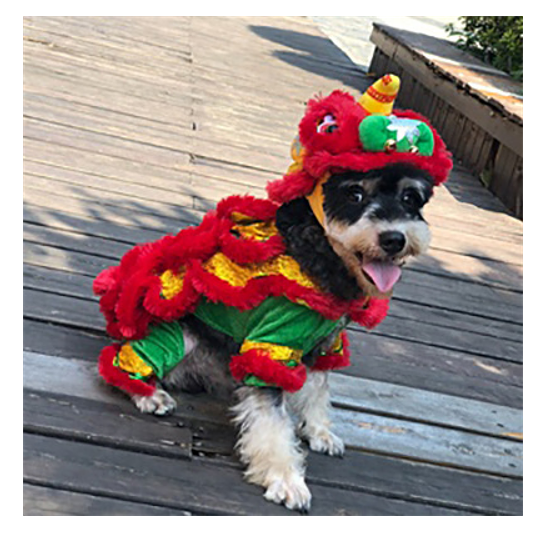 LION DANCE COSTUME