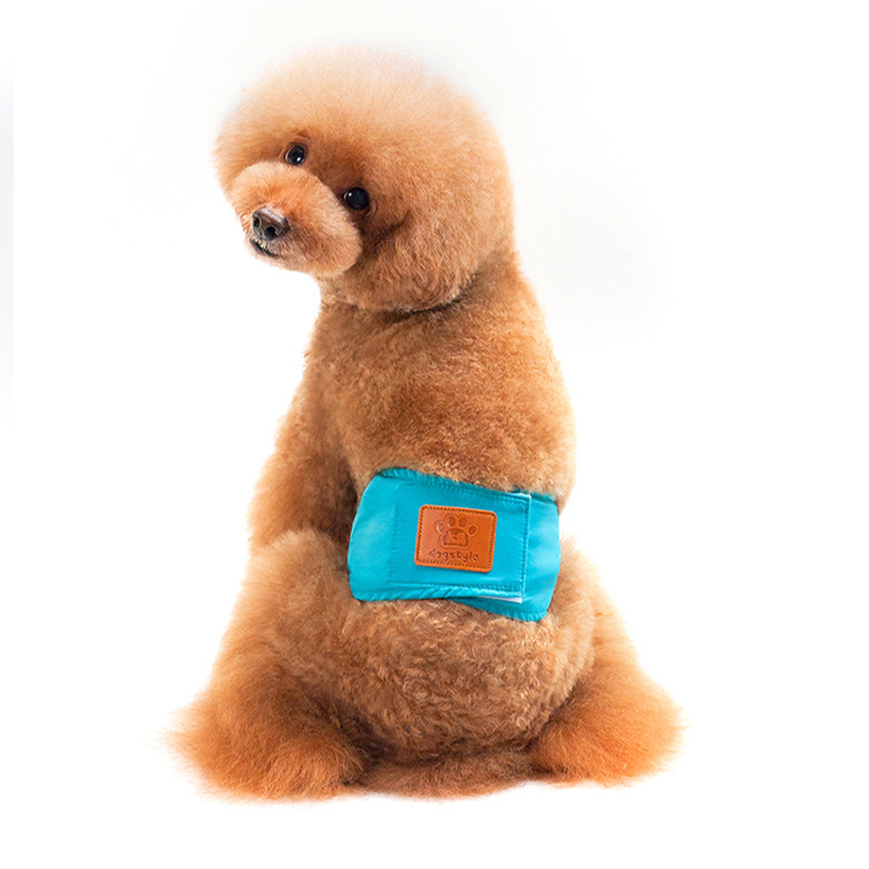 NAMSAN MALE DOG BELLY BAND
