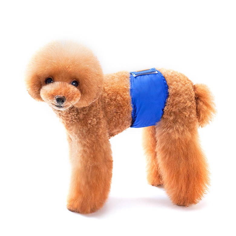 NAMSAN MALE DOG BELLY BAND