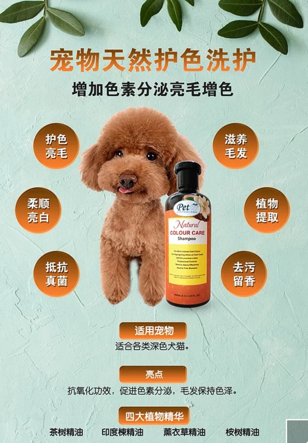 PETTO NATURAL SHAMPOO FLEA TICK/WHITENING/COLOUR CARE/PURIFYING 400ML