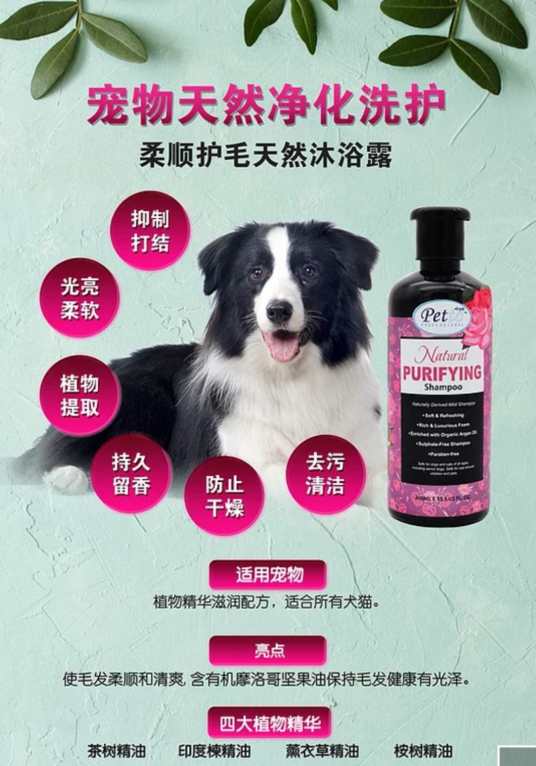 PETTO NATURAL SHAMPOO FLEA TICK/WHITENING/COLOUR CARE/PURIFYING 400ML
