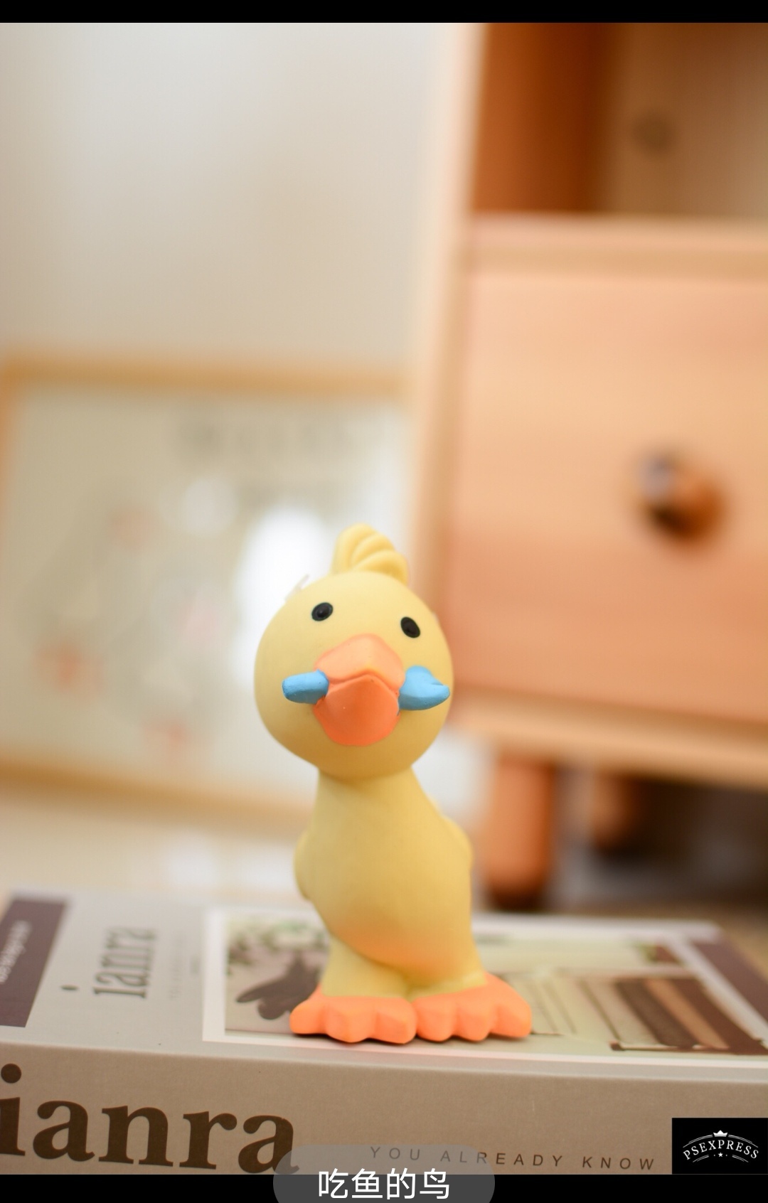 Q-MONSTER FOODIE FAMILY – SQUEAKY LATEX TOY