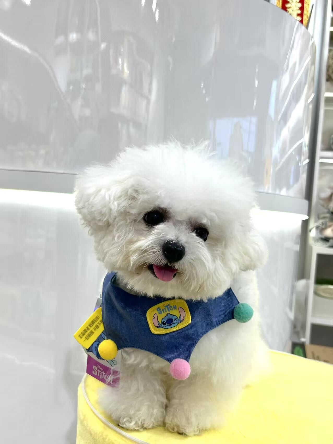 HOOPET X STITCH 史迪奇星际宝贝系列 双面满印 口水巾