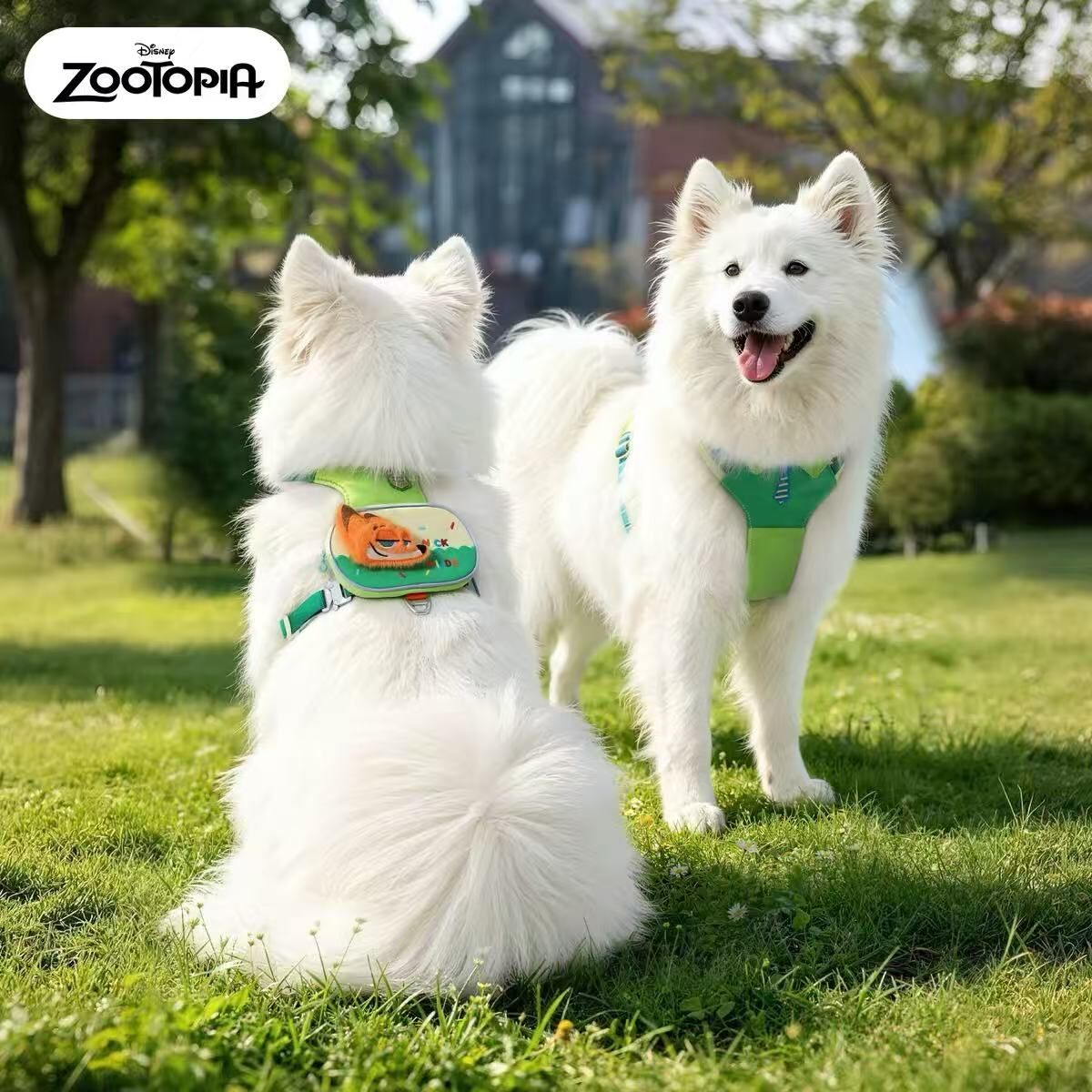 HOOPET DISNEY X ZOOTOPIA 疯狂动物城宠物胸背