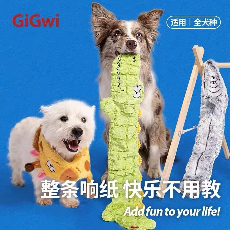 楼梯