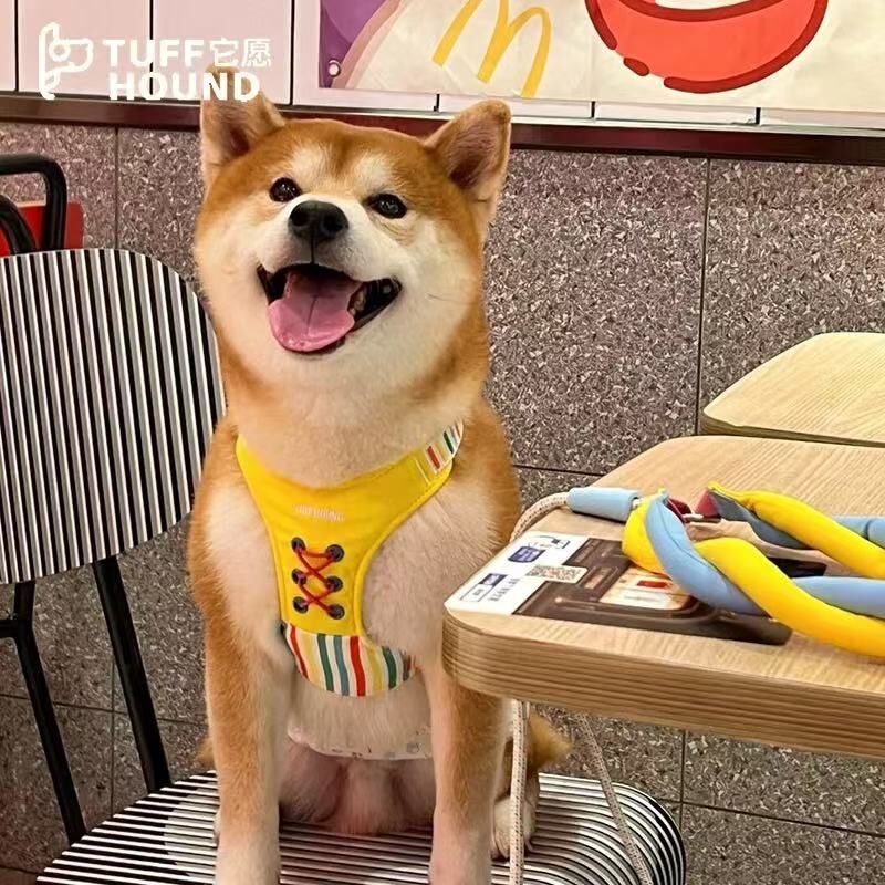 TF057 TUFFHOUND 它愿 猫狗小型犬胸背 牵引绳