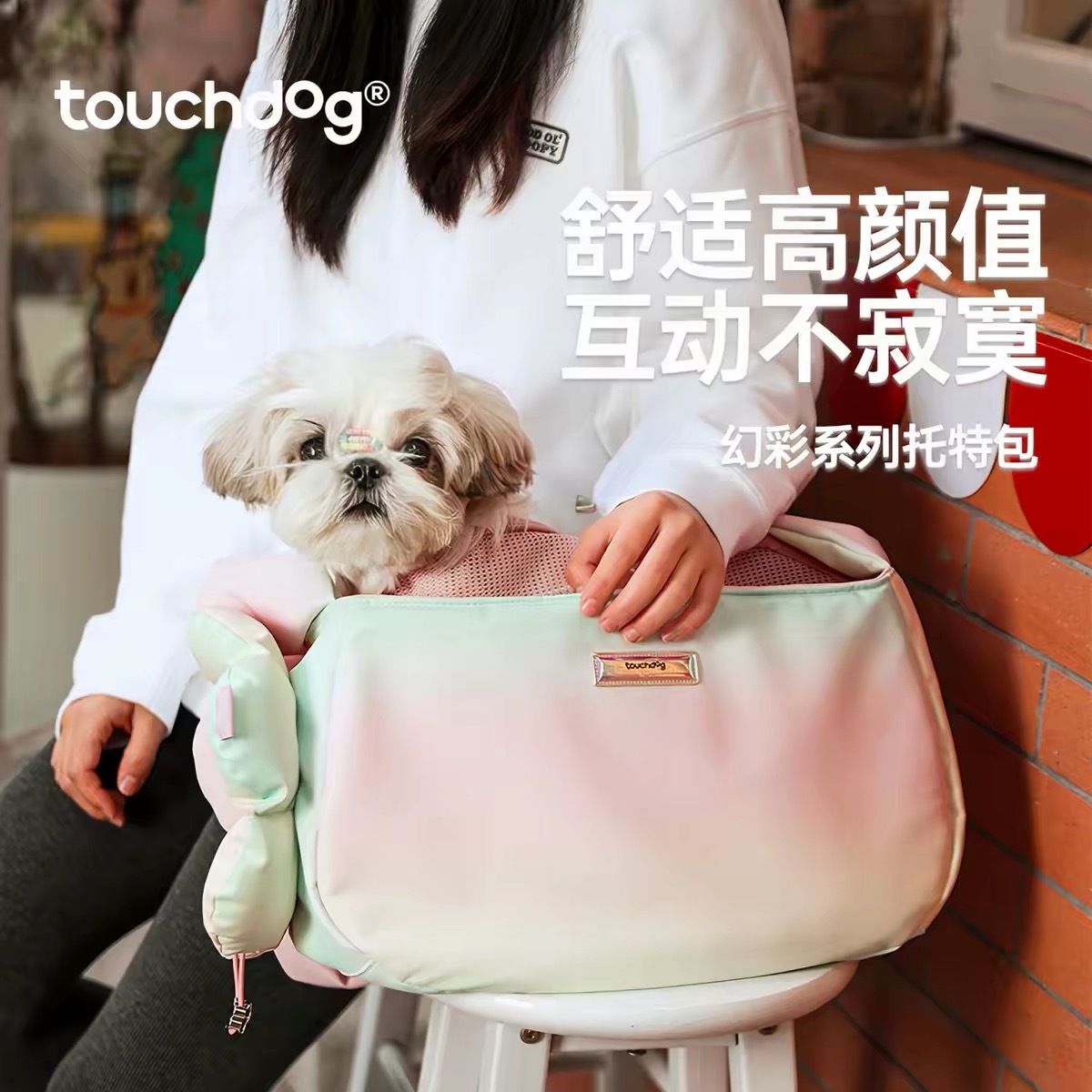 TOUCHDOG COLORFUL SERIES TOTE BAG