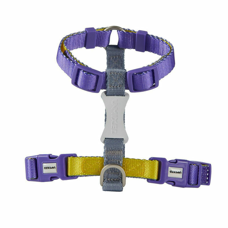UNMIXED PET HARNESS – CANDY SERIES, COLOR-BLOCK H-STYLE HARNESS