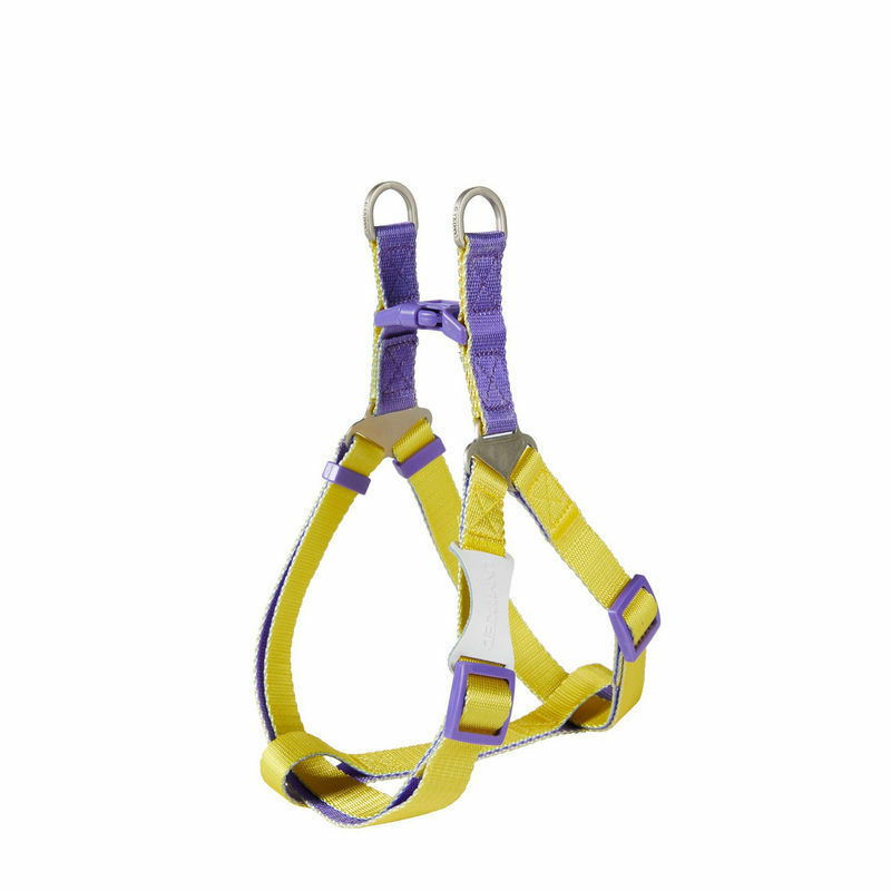 UNMIXED PET HARNESS – CANDY COLOR