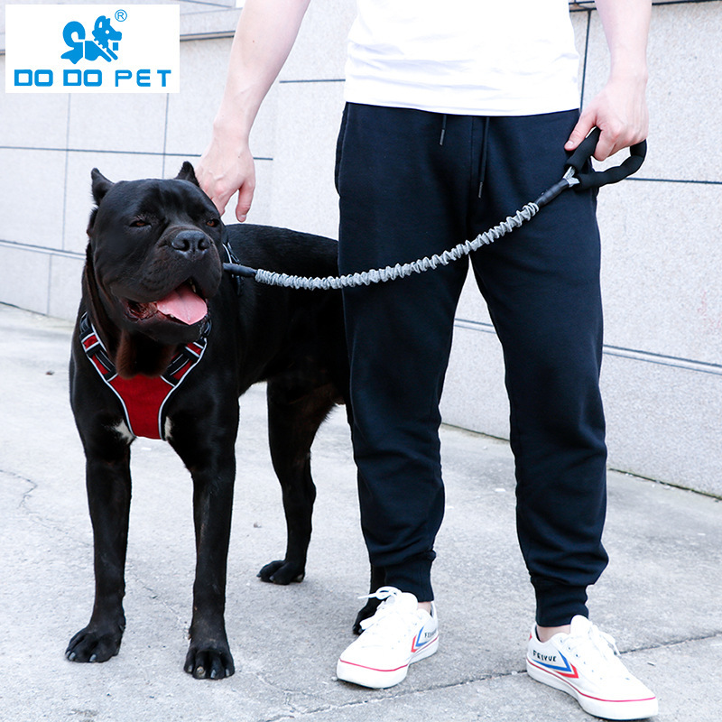 DODOPET ANTI-PULL LEASH – HIGH QUALITY 