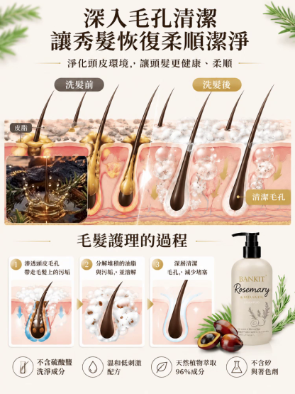 【發量暴漲】防脫固髮洗髮乳