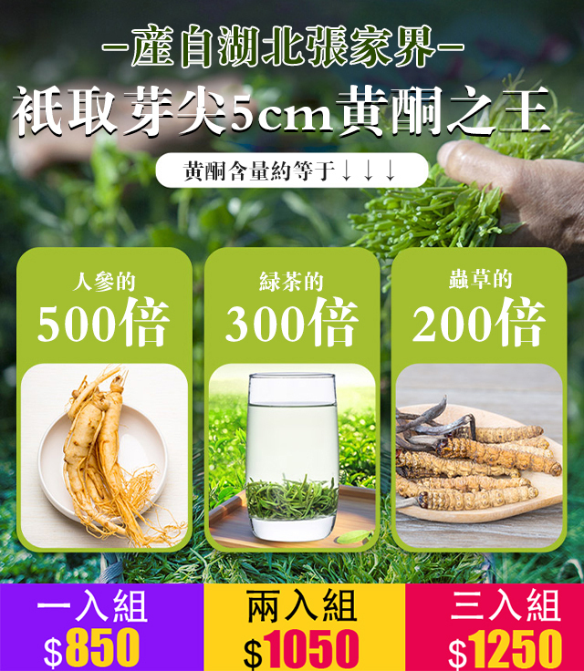 長壽秘訣張家界特級莓茶