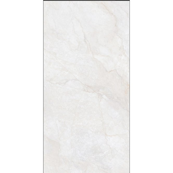 Wall & Floor Tile | 75cm x 150cm 