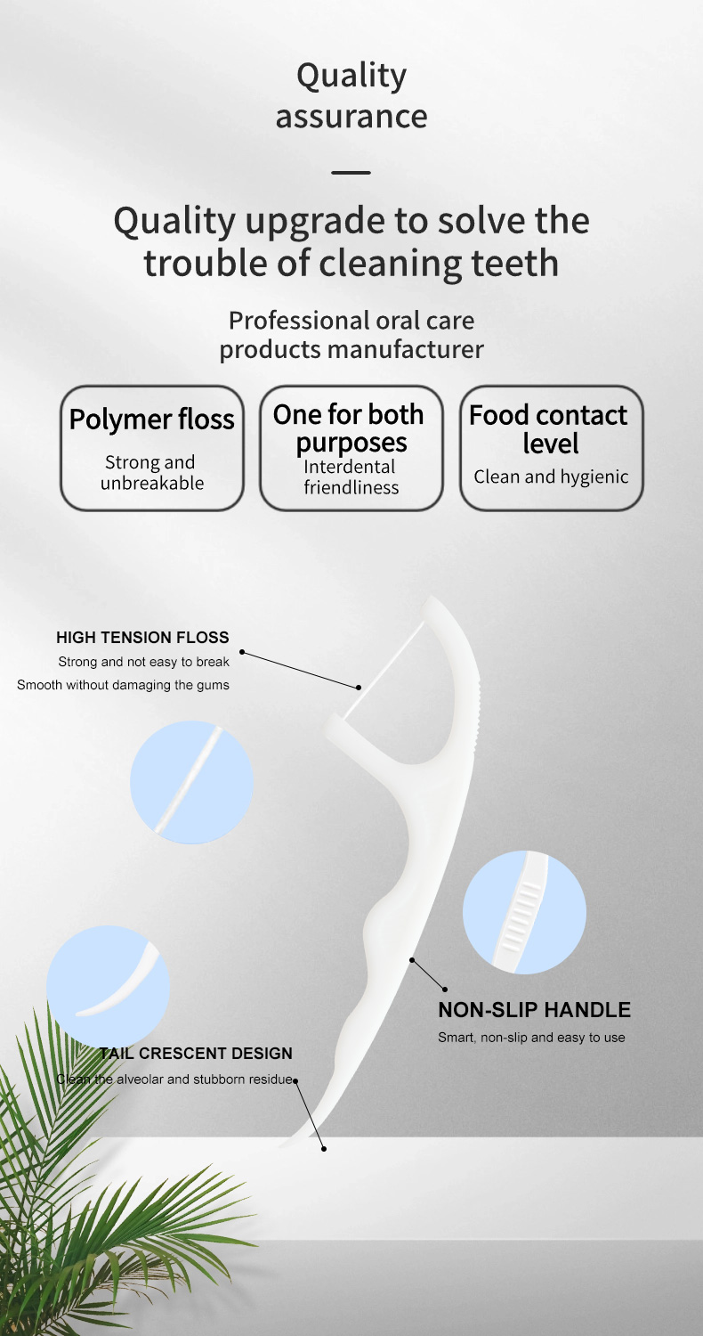 50PCS Dental Floss Picks Wholesale | Ready Stock | OEM & Private Label Available