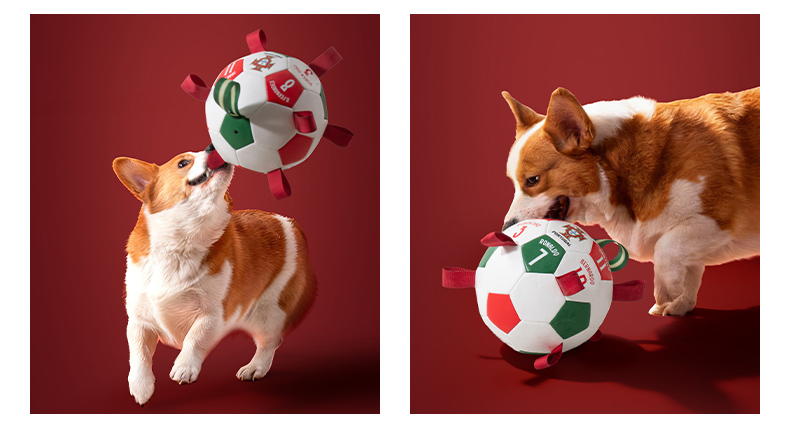 Portugal National Team Signed Football Interactive Toy, Sound-Activated Teaser Toy for Cats and Small Dogs