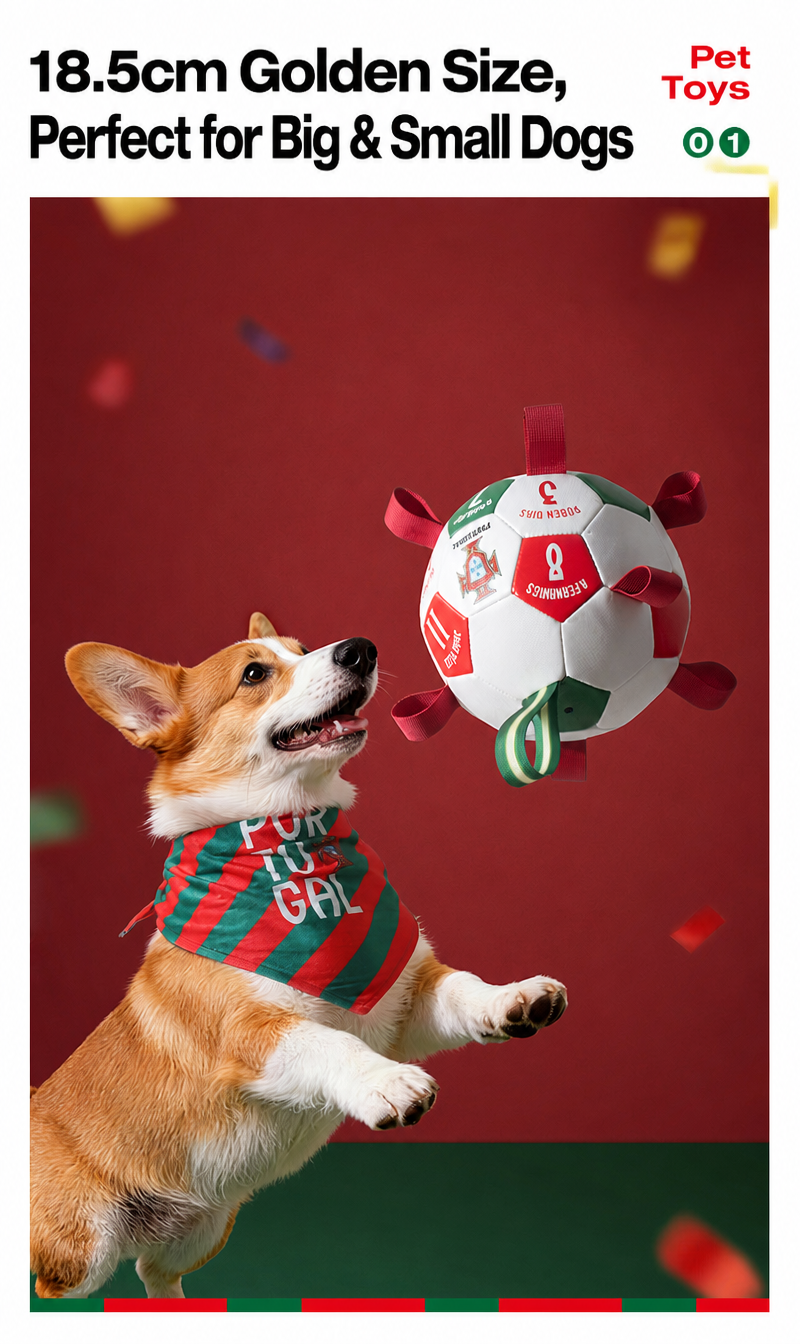 Petloora Portugal football toy banner mobile