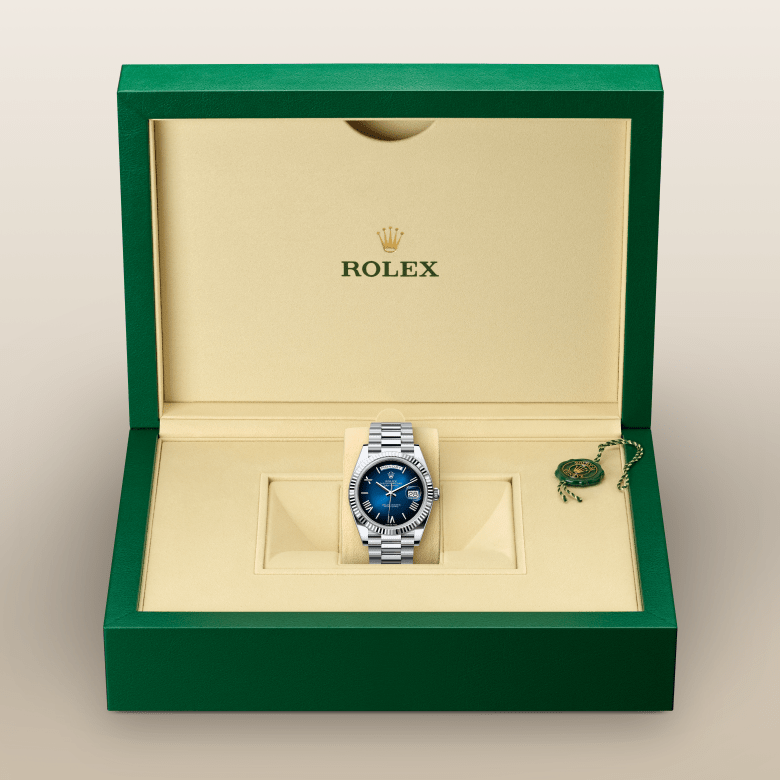 デイデイト 40 | オイスター、40 mm、プラチナ  リファレンス 228236-0024
