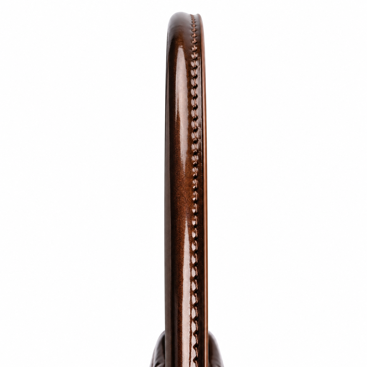 3860-Crocodile skin