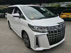 埃尔法电吸门