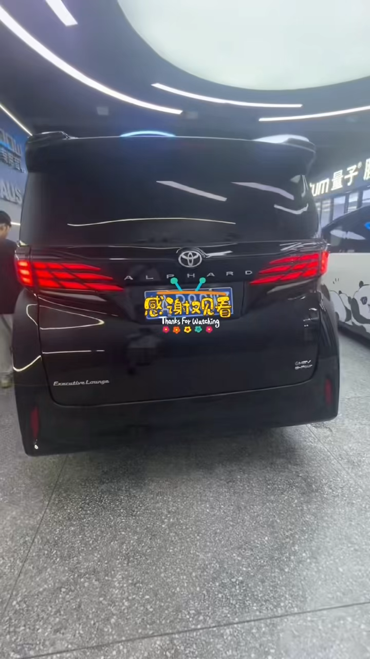 埃尔法电吸门