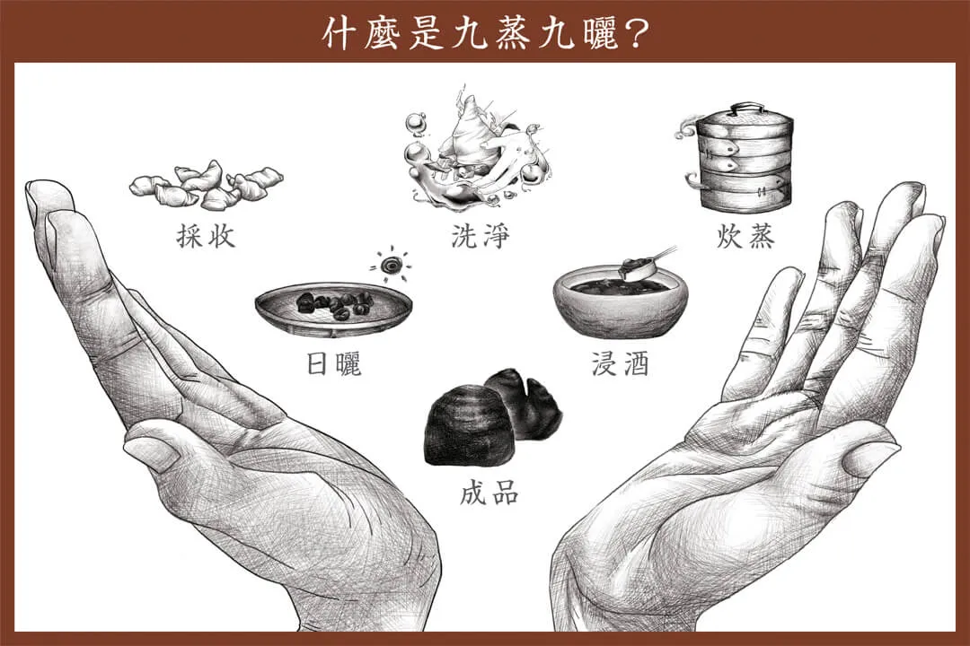 黃精五黑膏 什麼是九蒸九曬
