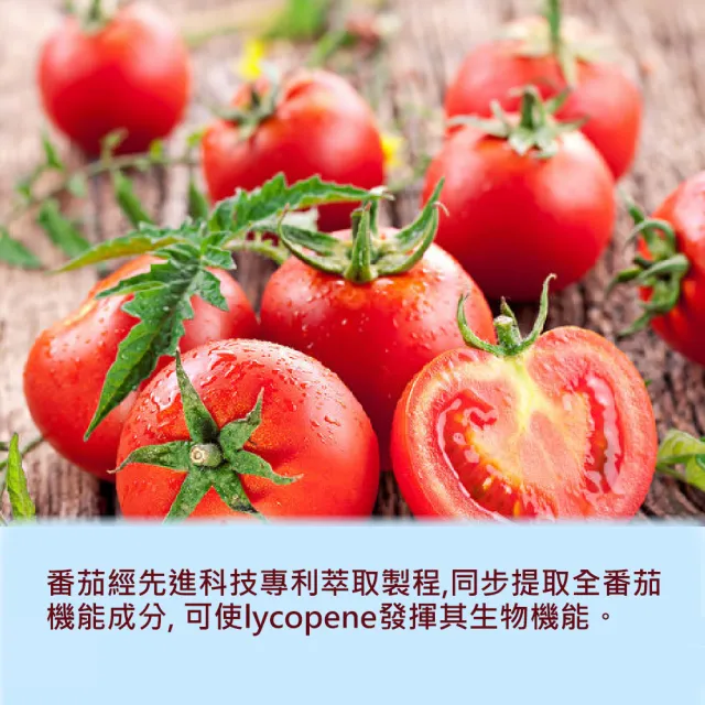 專利全番茄萃取物 lycopene 茄紅素 攝護腺抗氧化保護
