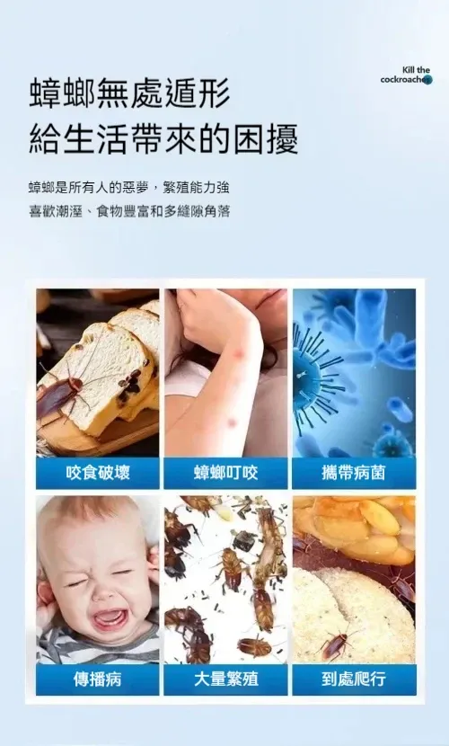 蟑螂叮咬咬食破損居家病菌困擾