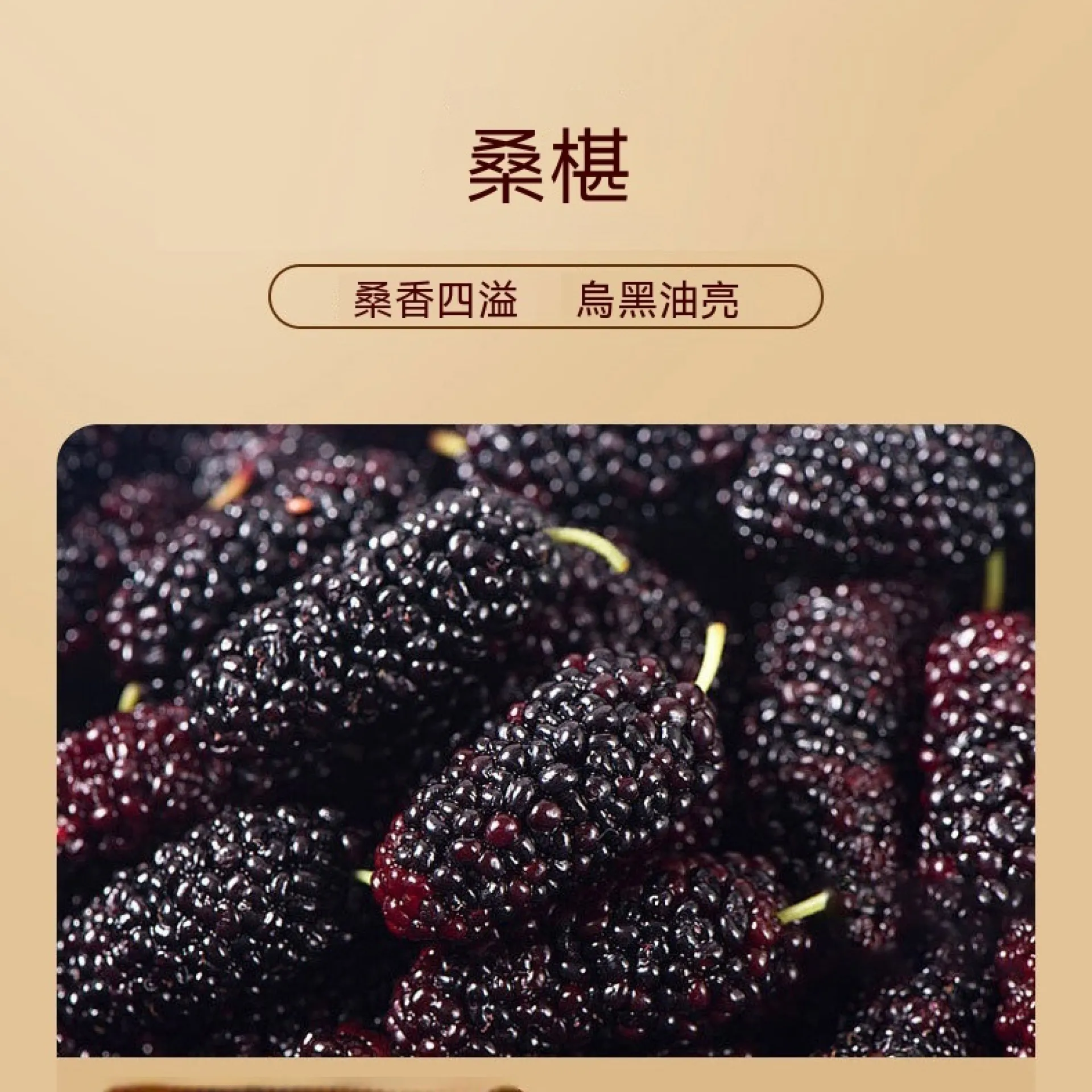 黃精五黑膏 桑葚