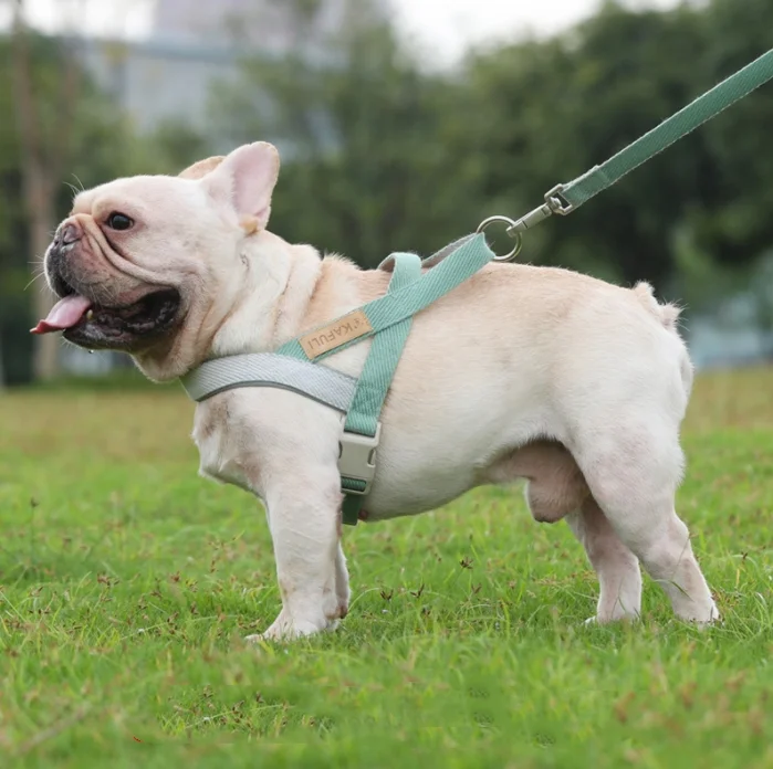 Pet Vest Chest Harness Medium Large Dog Fighting Golden Retriever Walking Rope Harness Set-MOXMALL