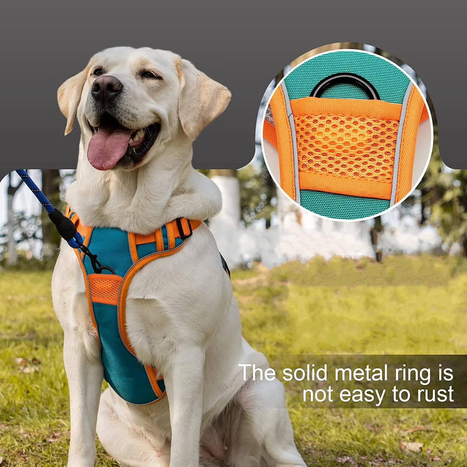 Outdoor Walking Dog Harness and Control Leash Large Dog Harness-MOXMALL