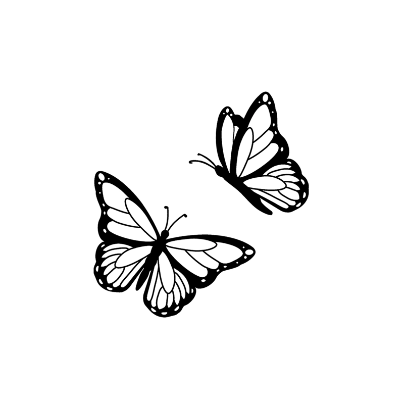 butterfly