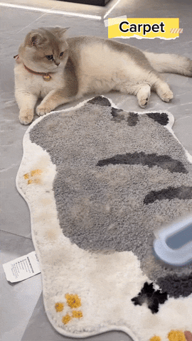 Clean carpet