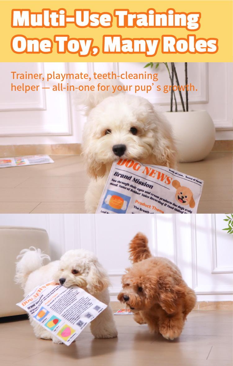 Durable Newspaper Pet Balloon Dog Toy 6
