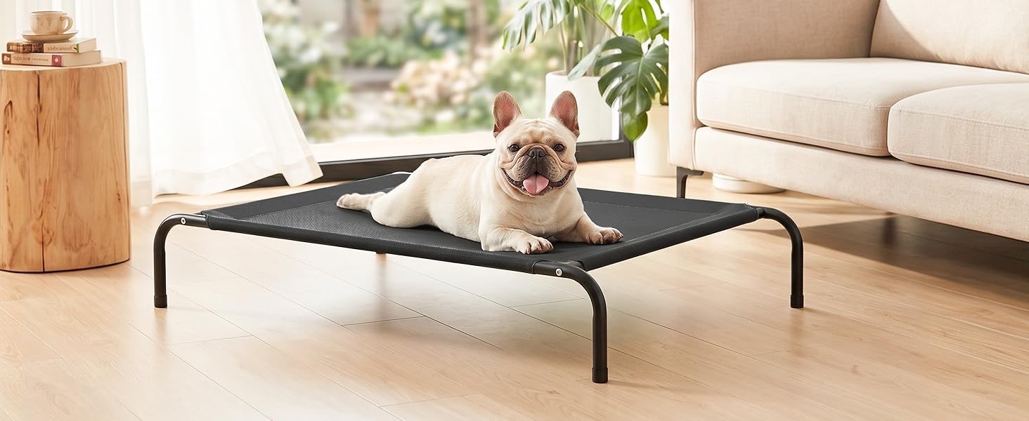 cooling dog bed