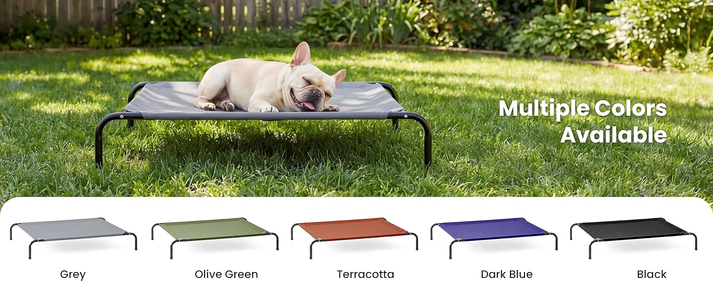 dog cot