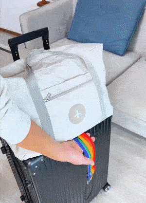 Luggage Fastening Belt Animation Demo