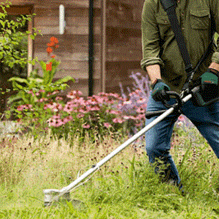 6 in
