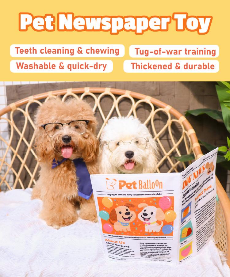 Durable Newspaper Pet Balloon Dog Toy 2